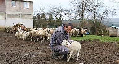 Hayvan başına destek ödemesi yüzde yüz artırıldı