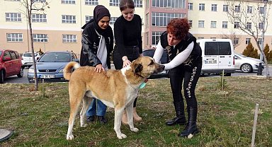 Her gün yollarını gözlüyorlar