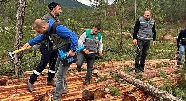 Hisarcık'ta ormandaki ağaçlara barkod uygulaması