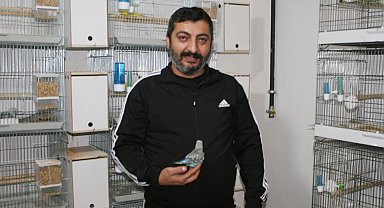 Hobi olarak başladılar normallerinden 3 kat büyükler