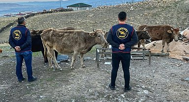 Iğdır'da çalınan hayvanlar bulunarak sahibine teslim edildi