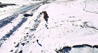 Iğdır'da kar yağışı sonrası hayvan sürülerinin zorlu kış dönüşü başladı