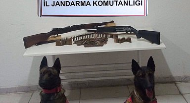 Iğdır'da silah kaçakçılığı operasyonu: 1 tutuklama