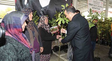 İncir fidanı dağıtımına katılan Vali Öksüz: "Emek veren, alın teri döken üreticimizin, çiftçimizin her zaman yanındayız"