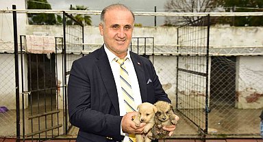 İncirliova'da sokak hayvanlarına sıcak yuva