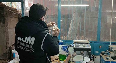 İstanbul'da kaçakçılık operasyonu: Fildişi, antilop, mamut ve geyik boynuzları ele geçirildi