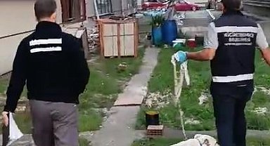 İstanbul'da köpeğe şiddet uygulayan şahsa 4 bin 554 TL para cezası