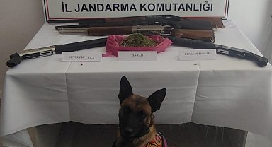 Jandarma baskın yaptığı evde 155 gram esrar ve 2 ruhsatsız av tüfeği ele geçirdi