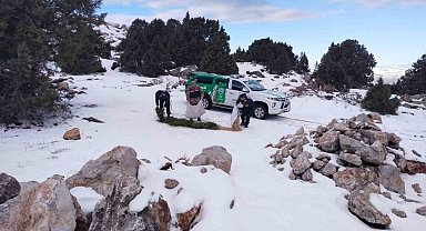 Jandarma çevre ve doğa koruma timleri yaban hayvanlarını unutmadı