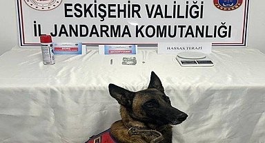 Jandarma ekiplerinden 8 ayrı uyuşturucu operasyonu