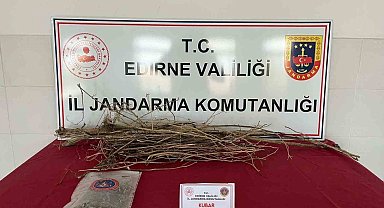 Jandarmadan uyuşturucu operasyonu: 2 kişi gözaltına alındı
