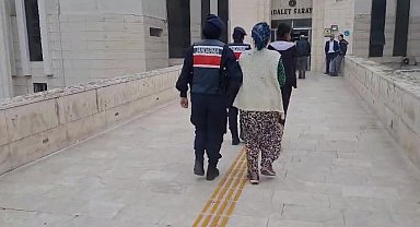Jandarmadan zeytin hırsızlarına gece baskını...2 kişi gözaltına alındı