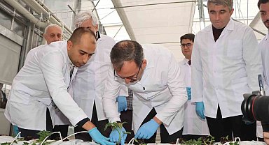 Jeotermal Kaynaklı Teknolojik Sera'da ilk fideler dikildi