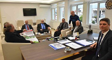 Kahverengi kokarca kabusu Sinop'a sıçradı