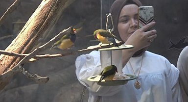 Karadeniz Bölgesi'nde ilk olma özelliği taşıyor