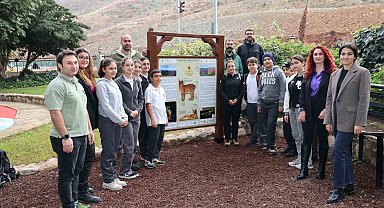 Karakulaklar'ın canı yanmayacak