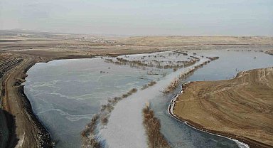 Kars'ta soğuktan baraj gölü dondu
