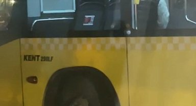 Kartal'da İETT otobüsünde yer verme kavgası kamerada