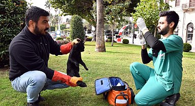 Kaşlı Bakımevi binlerce "Can Dostun" yaşamına dokundu