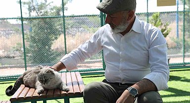 Kayseri'de ilk olan 'Küçük Dostlar Kedi Kasabası'na yoğun ilgi