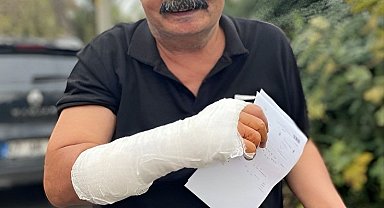 Kedilerin kavgasını ayırmak isterken kolundan yaralandı