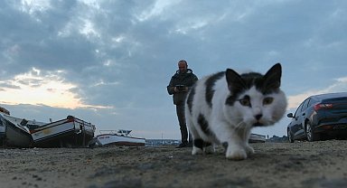 Kedinin dronla oyunu, defalarca pati attı