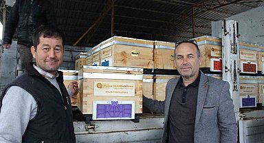 Kemer'de arı üreticilerine kovan desteği