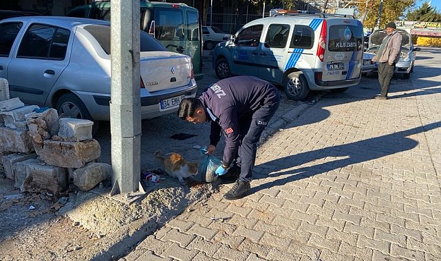 Kilis belediyesi sokak hayvanlarını unutmadı