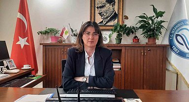Kirlilik yüzünden Haliç'te denizanası istilası