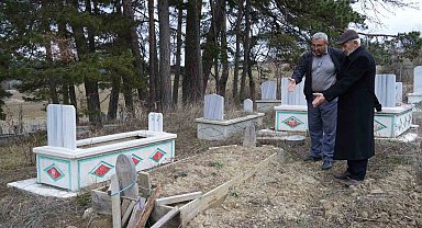Kış uykusuna yatamayan ayılar, mezarları kazmaya başladı