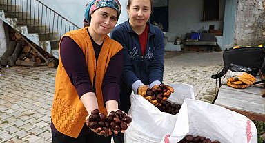 Kışın vazgeçilmez lezzeti kestanenin sofralara yolculuğu başladı