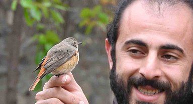 Kızılkuyruk ve çulluk doğaya salındı