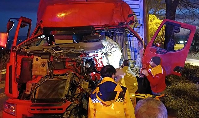 Kontrolden çıkan tır ağaca çarptı, sürücü ağır yaralandı