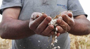 Konyaaltı'nda "Çandır Fasulyesi Şenliği" başlıyor