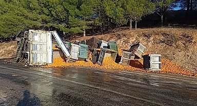 Kopan dorsedeki tonlarca mandalina yola saçıldı
