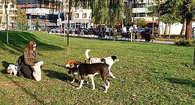 Köpeğine yaptığı doğum gününde hediye gelen mamaları sokak hayvanlarına dağıttı