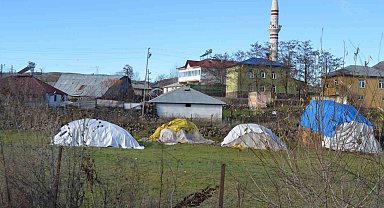 Köpeklerin yaşlı kadına saldırı anı güvenlik kamerasına böyle yansıdı
