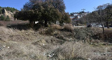 Koruma altındaki anıt ağacı için vatandaşlardan tepki