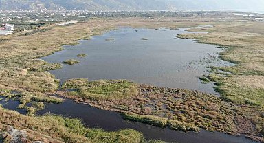 Kurak geçen yaz mevsimiyle yok olma noktasına gelen kuş cenneti, yağışlı havayla yeniden canlandı