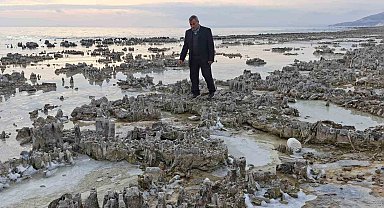 Kuraklık Van Gölü sahilini mikrobiyalit tarlasına dönüştürdü