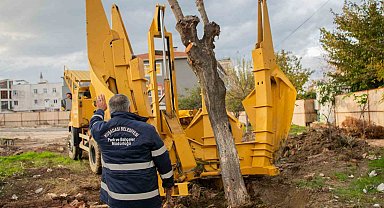 Kuşadası Belediyesi'nden 'yeşil' hassasiyet