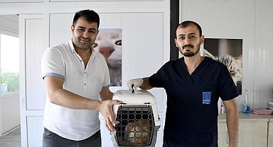 Kuşadası'nda minik patili can dostların sağlığı emin ellerde
