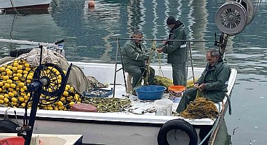 Limana 500 kilo mezgitle geldiler