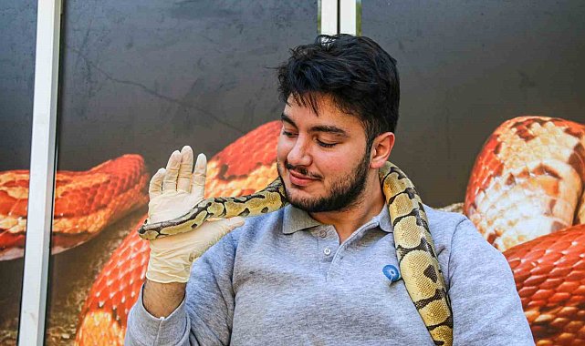 Mahalleye korku salan kral pitonunu boynuna dolayıp seviyor