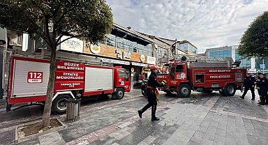 Mahsur kalan kedileri itfaiye kurtardı