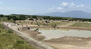 Manisa'ya 9 yılda 210 HİS Göleti yapıldı