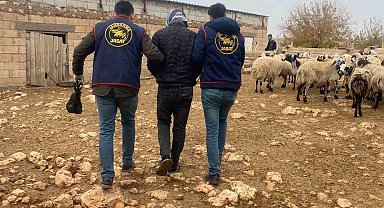 Mardin'de 2 aydır aranan cezaevi firarisi yakalandı