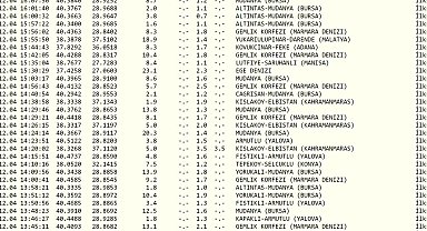 Marmara Denizi'nde artçılar durmuyor