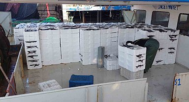 Marmara Denizi'ne ağ atan balıkçılar, yaklaşık 30 ton torik balığı avladılar