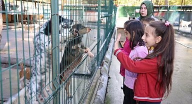 Marmaris'te patili dostlara yeni yıl ziyareti